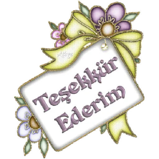 TEŞEKKÜR EDERİM 19