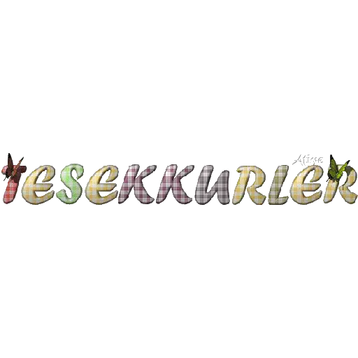 TEŞEKKÜR EDERİM 8