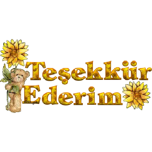 TEŞEKKÜR EDERİM 3