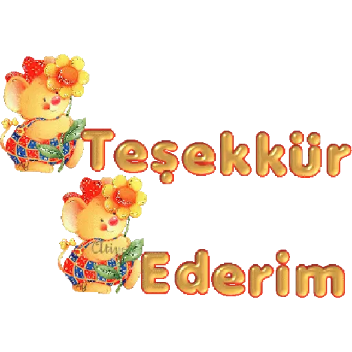 TEŞEKKÜR EDERİM 5