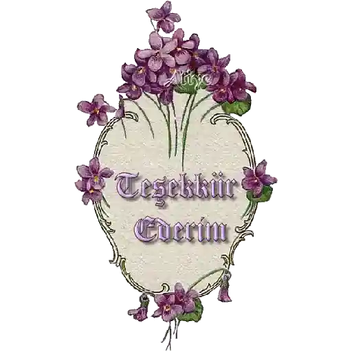 TEŞEKKÜR EDERİM 24