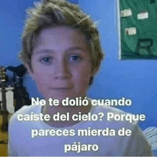Sapo 22