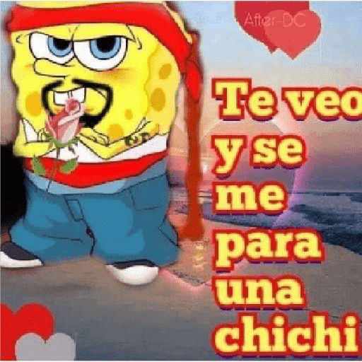 Sapo 11