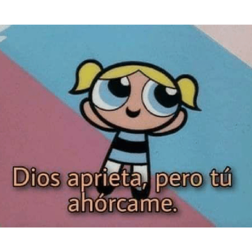 Sapo 10