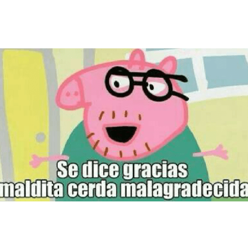 Sapo 15
