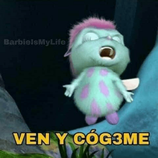 Sapo 19
