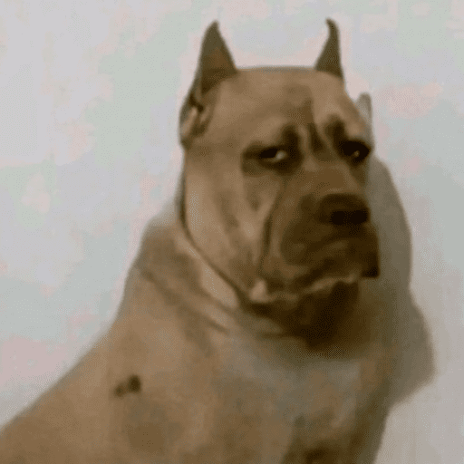 Honest Reactions 10