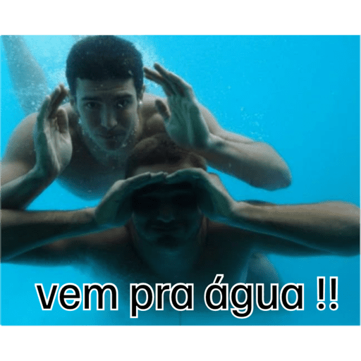 Minhas figurinhas 11