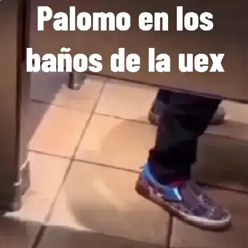 Mis pegatinas 22