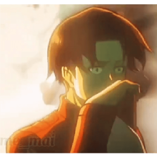 Levi uwu 2