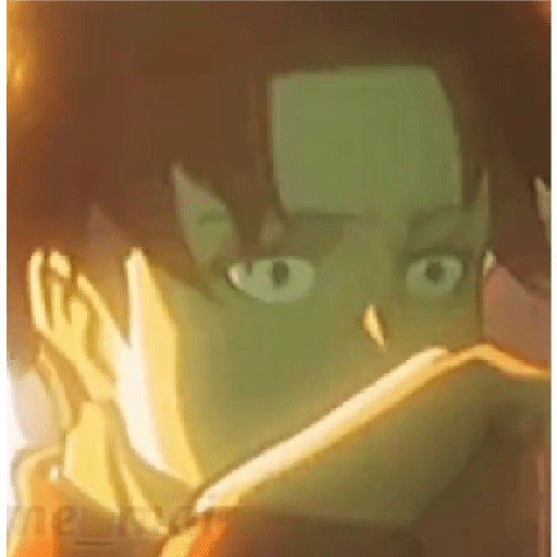 Levi uwu 1