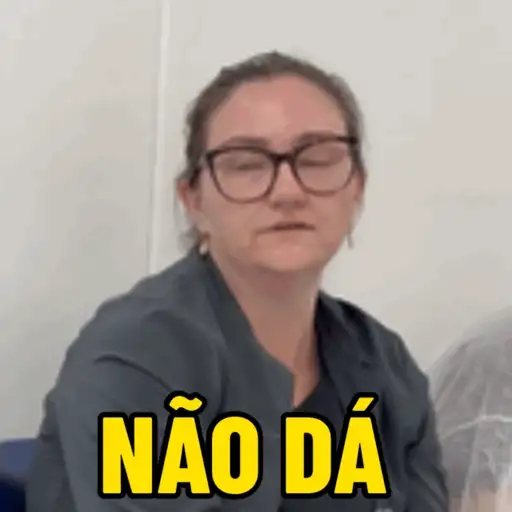 Minhas figurinhas 19