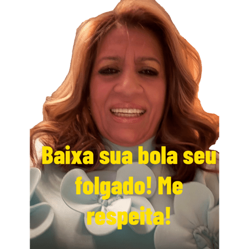 Minhas figurinhas 16