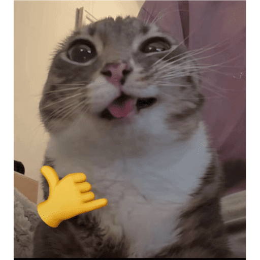 NN  5