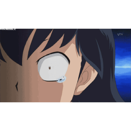 Inuyasha 16