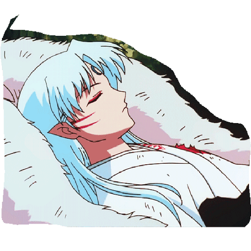 Inuyasha 24