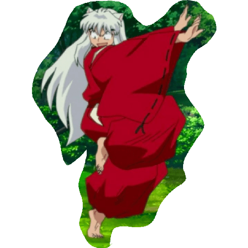 Inuyasha 14