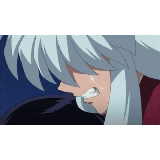 Inuyasha 21