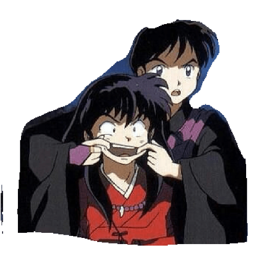Inuyasha 22