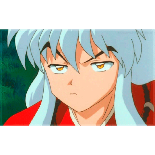 Inuyasha 19