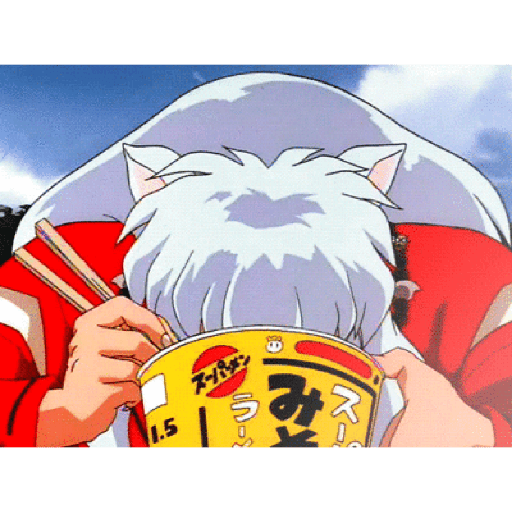 Inuyasha 17