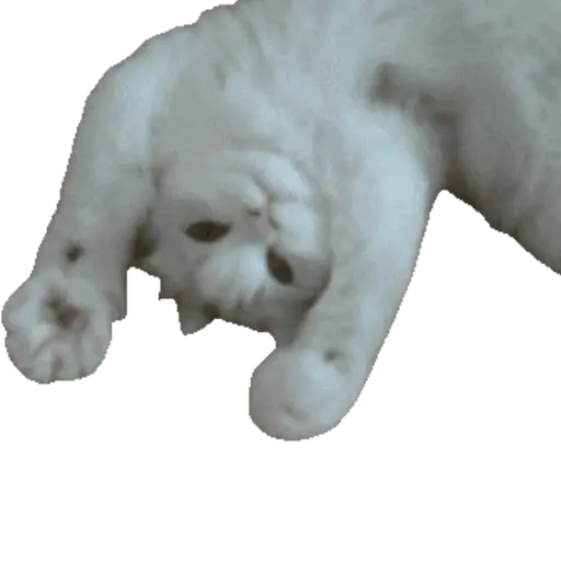 Animals 2 8