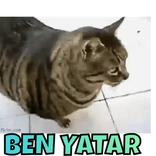 Animals 2 25