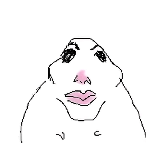 Hamster  3