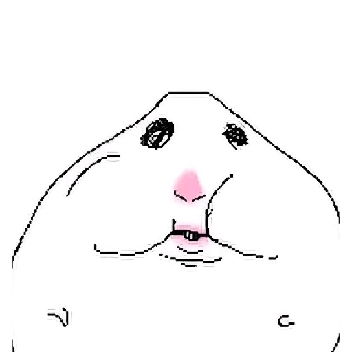 Hamster  5