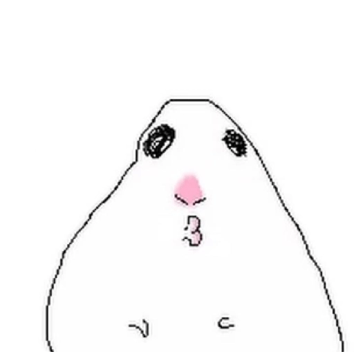 Hamster  10