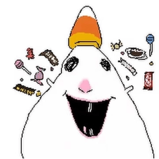 Hamster  12
