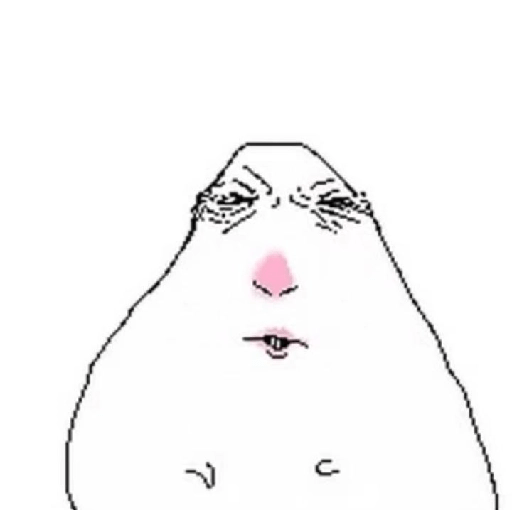 Hamster  19