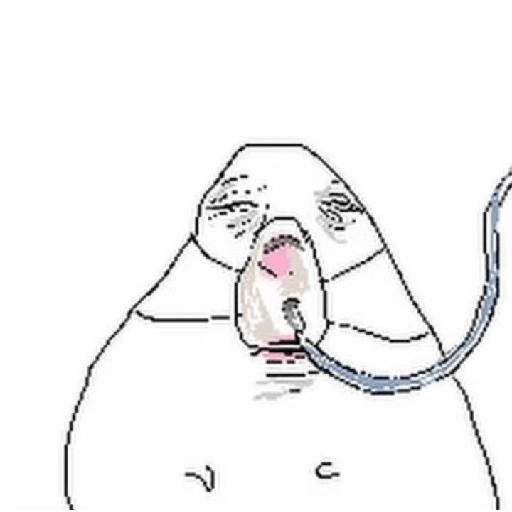Hamster  20