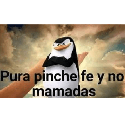 Totneque@pao 28