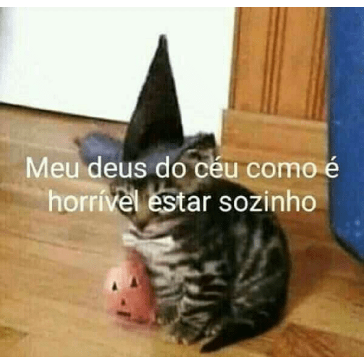 ₊˚๑ 𐐪‹ ⌕ › trava zap ઇ ֺ✦⸼࣪ 5