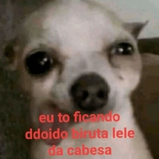 ₊˚๑ 𐐪‹ ⌕ › trava zap ઇ ֺ✦⸼࣪ 3