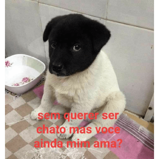 ₊˚๑ 𐐪‹ ⌕ › trava zap ઇ ֺ✦⸼࣪ 8