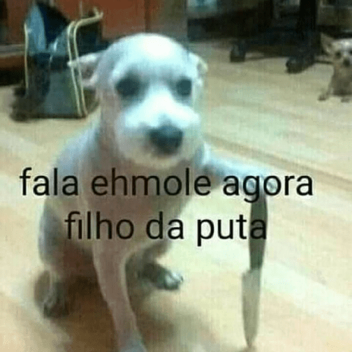 ₊˚๑ 𐐪‹ ⌕ › trava zap ઇ ֺ✦⸼࣪ 10