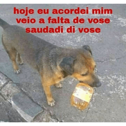 ₊˚๑ 𐐪‹ ⌕ › trava zap ઇ ֺ✦⸼࣪ 15