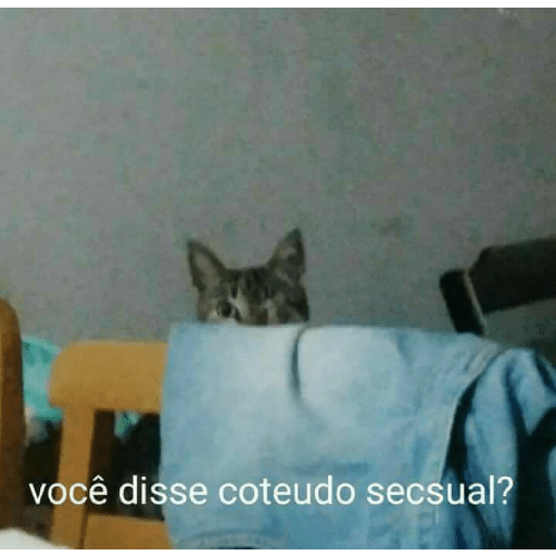 ₊˚๑ 𐐪‹ ⌕ › trava zap ઇ ֺ✦⸼࣪ 13