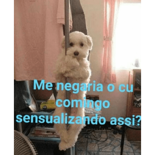 ₊˚๑ 𐐪‹ ⌕ › trava zap ઇ ֺ✦⸼࣪ 14