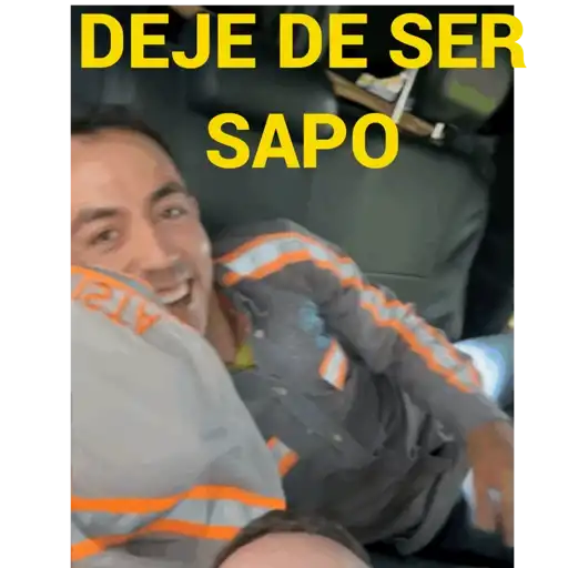 Porras 8