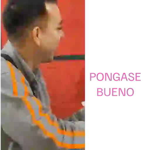 Porras 1