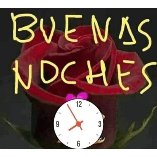 Noche 24