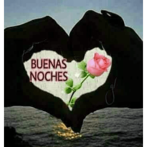 Noche 3