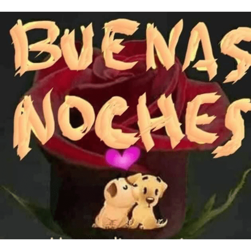 Noche 20