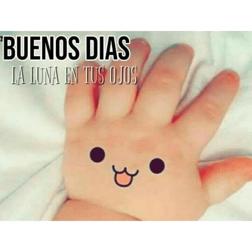 Noche 7