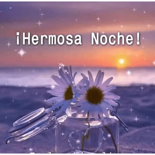 Noche 28