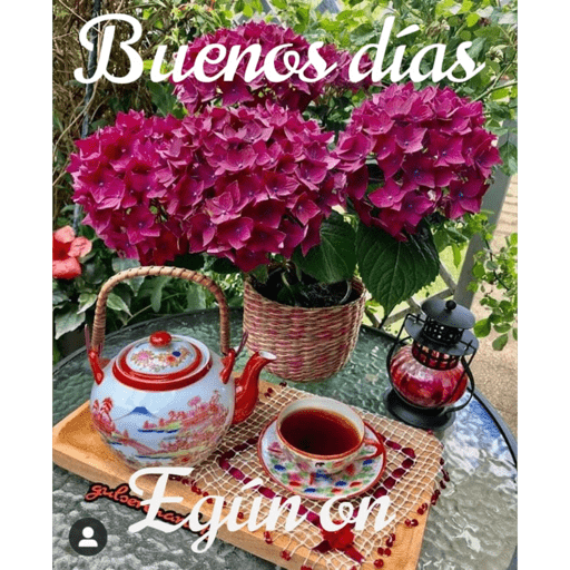 Felicidades 10
