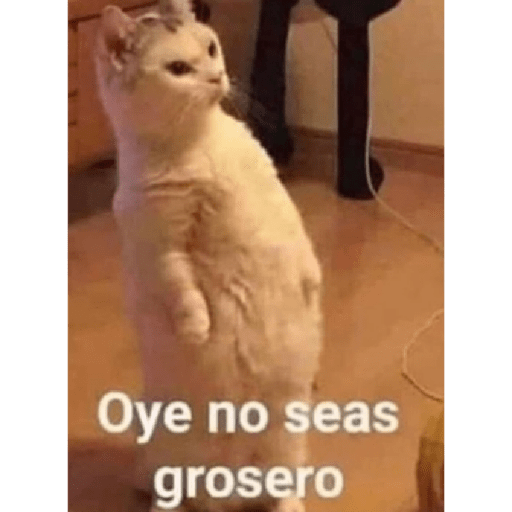 Dramatotalgiramundial 20